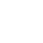 Sophie Searches logo white