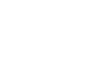 Sophie Searches logo white