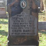 7: Chaya Barkin Headstone